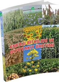 Enerji Bitkileri ve Biyoyakıt Üretimi
