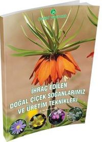 İhraç Edilen Doğal Çiçek Soğanlarımız ve Üretim Teknikleri