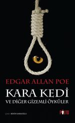 Kara Kedi ve Diğer Gizemli Öyküler