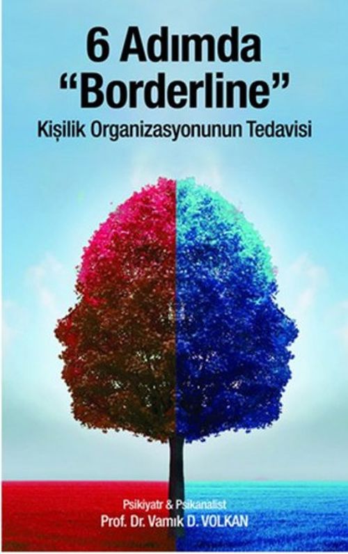 6 Adımda Borderline & Kişilik Organizasyonunun Tedavisi