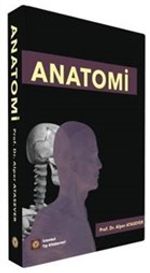 Anatomi