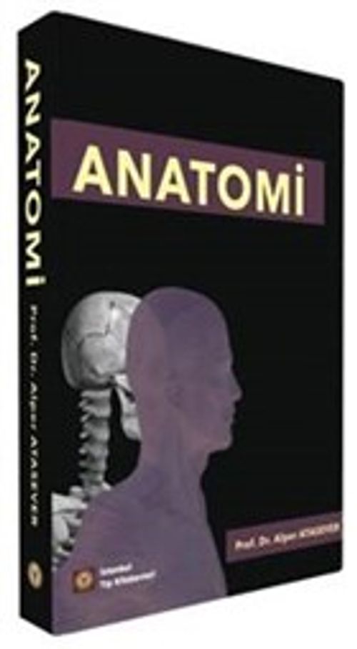 Anatomi