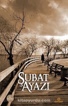 Şubat Ayazı - Nehir Aydın Gökduman