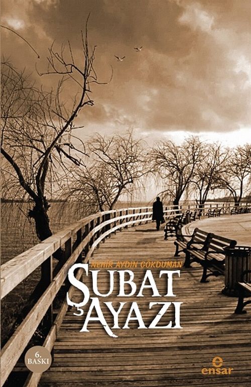Şubat Ayazı
