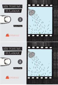 Bir Tohumu Sulamak (1-2)