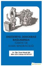 Endüstriyel Demokrasi Bağlamında Türkiye’de Kamu Sendikacılığı
