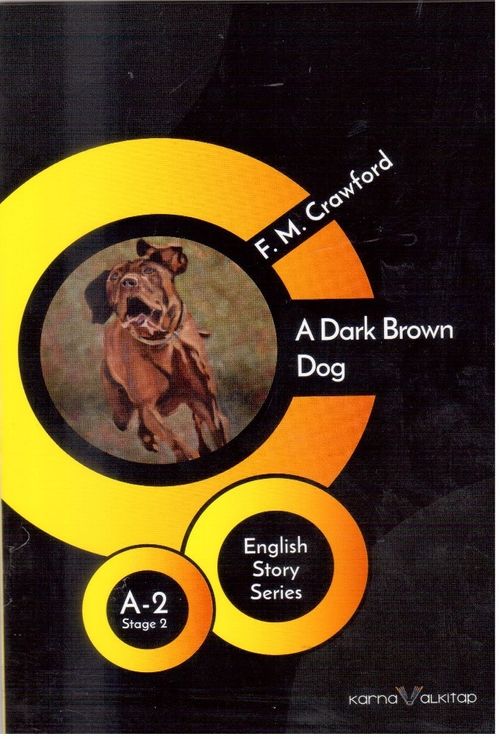 A Dark Brown Dog