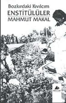 Bozkırdaki Kıvılcım Enstitülüler