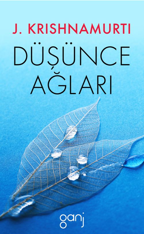 Düşünce Ağları