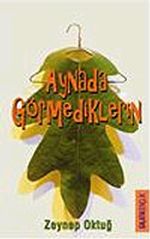 Aynada Görmediklerin