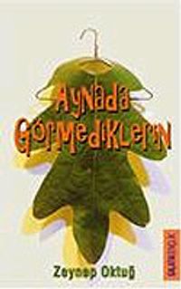 Aynada Görmediklerin