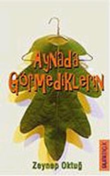 Aynada Görmediklerin