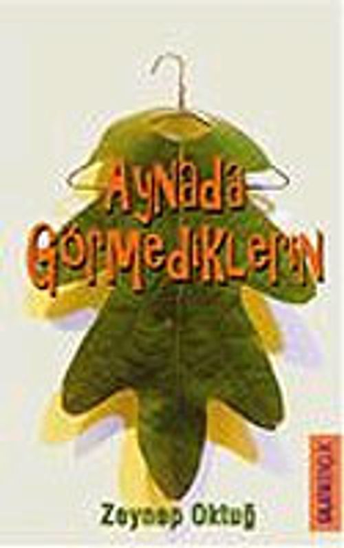 Aynada Görmediklerin