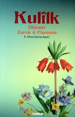 Kulilk & Diwana Zarok u Ciwanan