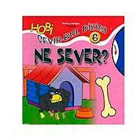 Ne Sever ? / Çevir Bul Dizisi