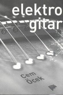 Elektro Gitar