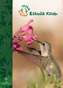 Yaşam Döngüsü - Etkinlik Kitabı