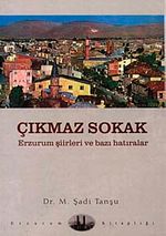 Çıkmaz Sokak & Erzurum Şiirleri ve Bazı Hatıralar