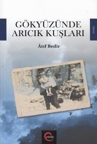 Gökyüzünde Arıcık Kuşları