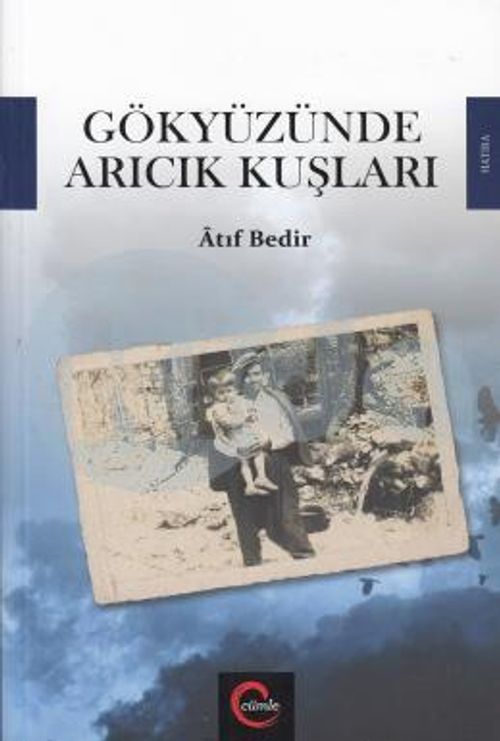 Gökyüzünde Arıcık Kuşları