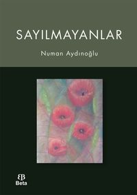 Sayılmayanlar