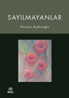 Sayılmayanlar