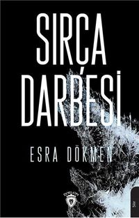 Sırça Darbesi