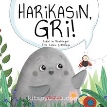 Harikasın Gri! - Irma Zmiric Çetinkaya