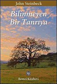 Bilinmeyen Bir Tanrıya