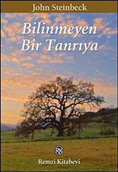 Bilinmeyen Bir Tanrıya