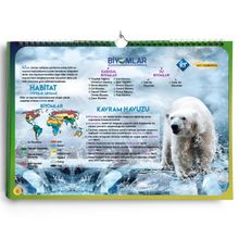 AYT Coğrafya Poster Notlar - Kolektif