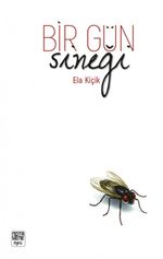 Bir Gün Sineği