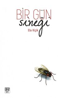 Bir Gün Sineği