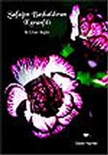 Şafağın Başkaldıran Karanfili