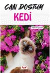 Can Dostum Kedi