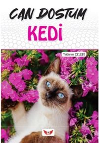 Can Dostum Kedi