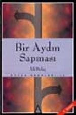 Bir Aydın Sapması