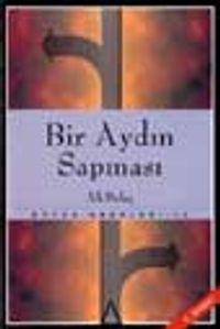 Bir Aydın Sapması