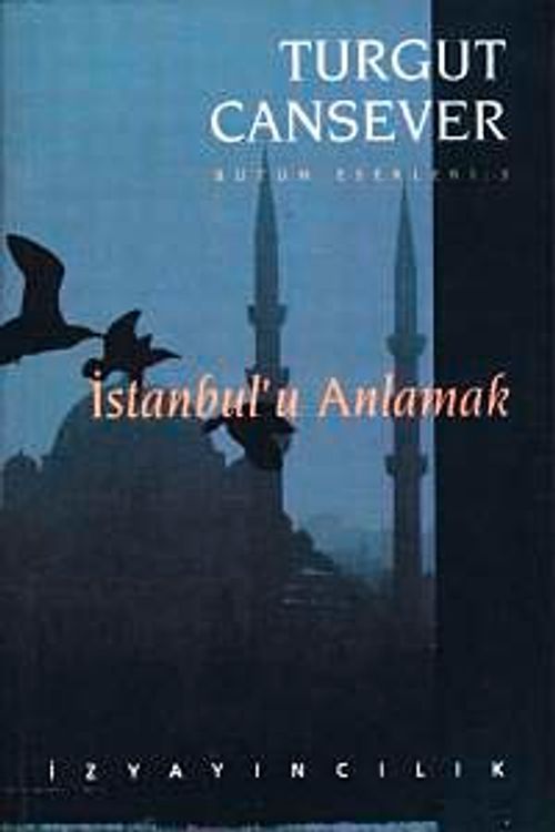 İstanbul'u Anlamak