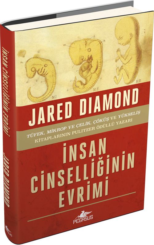 İnsan Cinselliğinin  Evrimi (Ciltli)