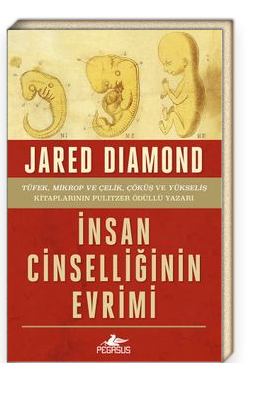 İnsan Cinselliğinin Evrimi