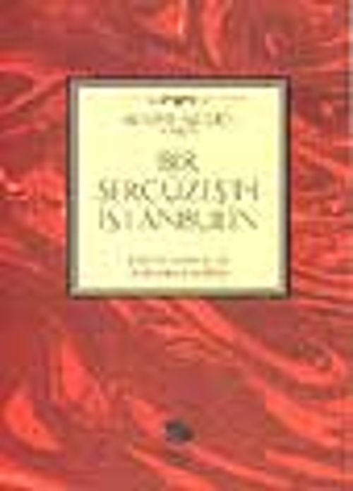 Bir Sergüzeşt-i İstanbulin