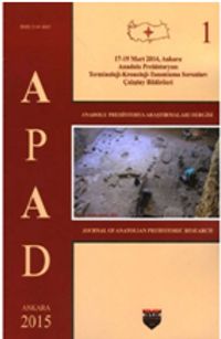 Anadolu Prehistorya Araştırmaları 1 / APAD 1
