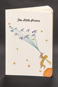 Akıl Defteri - The Little Prince - Flying With Birds (Cep Boy)