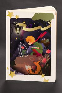 Akıl Defteri - The Little Prince - Night (Cep Boy)