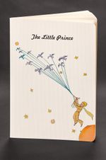 Akıl Defteri - The Little Prince - Flying With Birds 