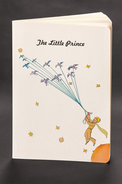 Akıl Defteri - The Little Prince - Flying With Birds 