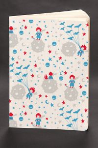 Akıl Defteri - The Little Prince - Blue Prince