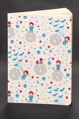 Akıl Defteri - The Little Prince - Blue Prince