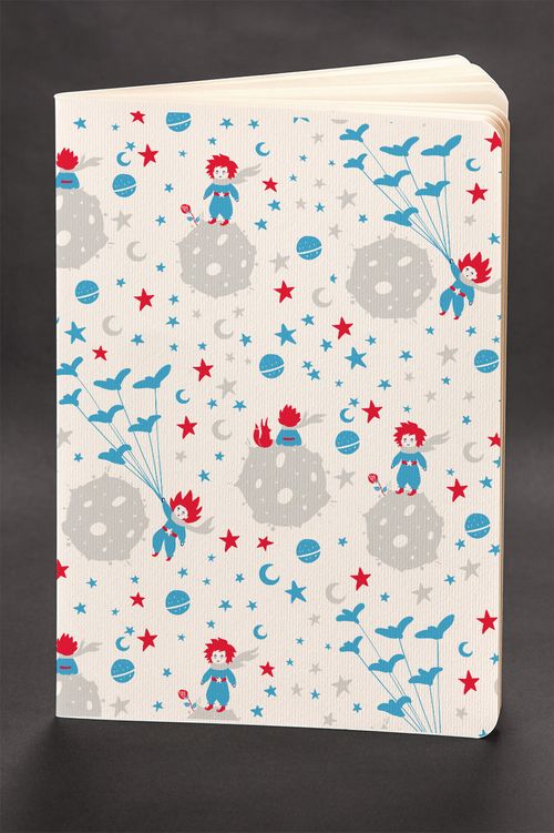 Akıl Defteri - The Little Prince - Blue Prince